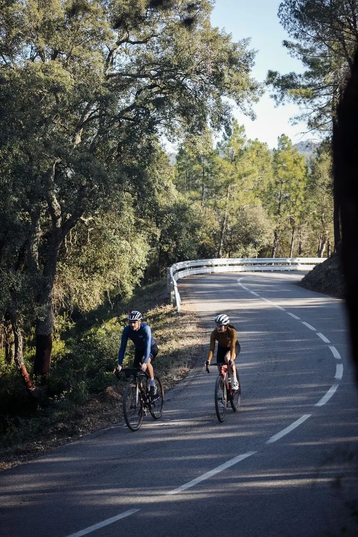 Long-distance cyclists on a rural ascent